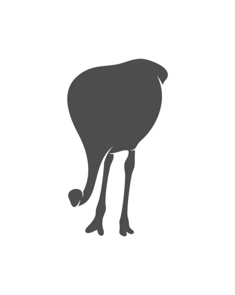 Pštrosí Logo Vektor Animální Grafika Pštrosí Design Šablona Ilustrace — Stockový vektor