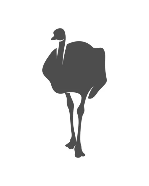 Vetor Logotipo Avestruz Gráfico Animal Ilustração Modelo Projeto Avestruz —  Vetores de Stock