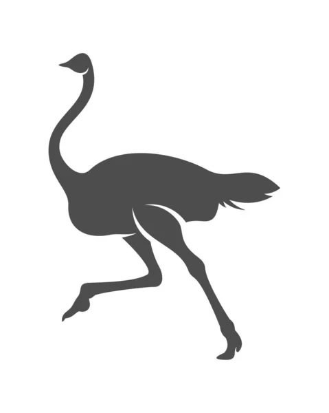 Ostrich Logo Vector Animal Graphic Ostrich Design Template Illustration — 스톡 벡터