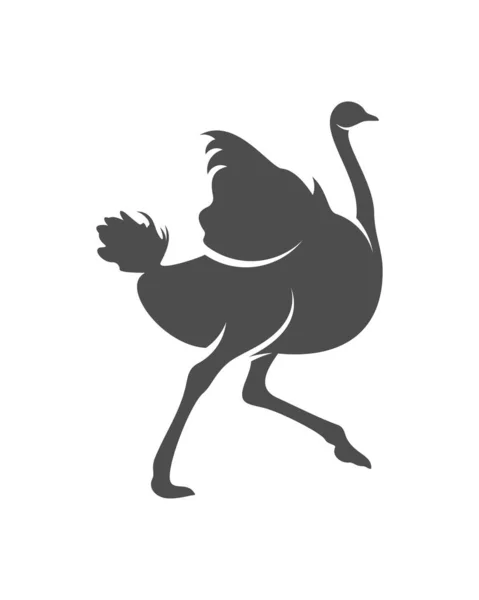 Wektor Logo Strusia Grafika Zwierzęca Ilustracja Szablonu Projektu Strusia — Wektor stockowy