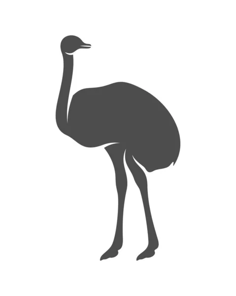 Страусиный Вектор Логотипа Животная Графика Страусиный Дизайн — стоковый вектор
