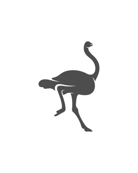 Ostrichロゴベクトル 動物グラフィック Ostrichデザインテンプレートイラスト — ストックベクタ