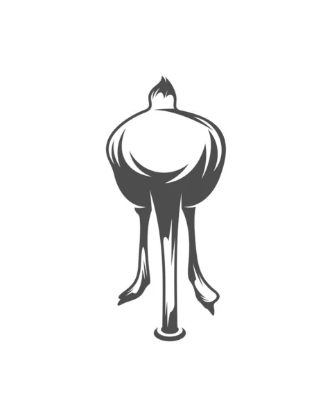 Vecteur Logo Autruche Graphique Animal Illustration Modèle Conception Autruche — Image vectorielle