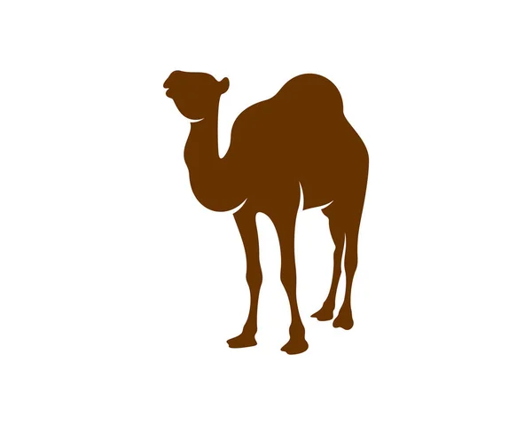 Kamel Logo Vektor Animal Grafik Kamel Design Template Illustration — Stockvektor