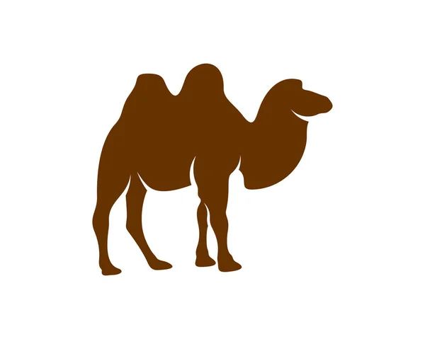 Cammello Logo Vettoriale Grafica Animale Cammello Disegno Modello Illustrazione — Vettoriale Stock
