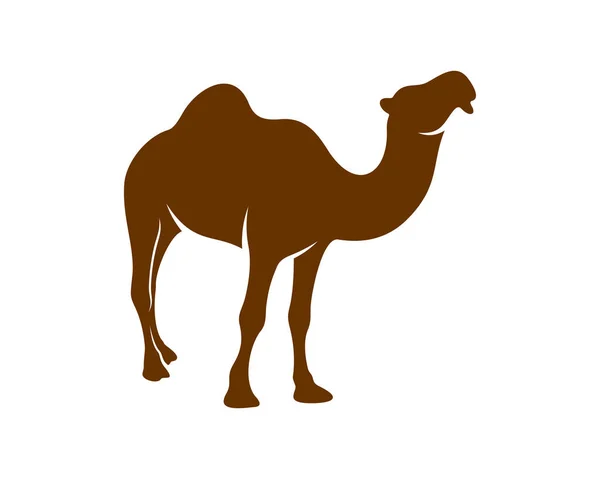 Camel Logo Vector Animal Graphic Camel Design Template Illustration — Stock Vector