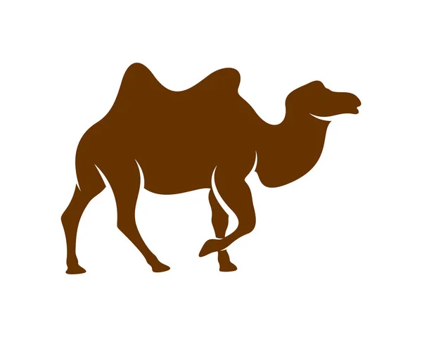 Camel Logo Vector Animal Gráfico Camel Design Template Illustration — Vector de stock