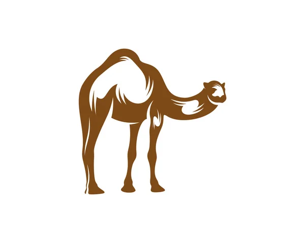 Vetor Logotipo Camel Gráfico Animal Ilustração Modelo Design Camel — Vetor de Stock