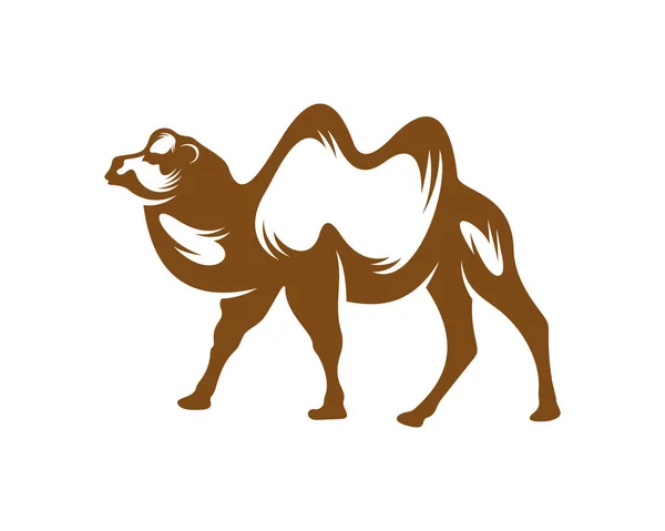 Вектор Логотипу Верблюдів Графіка Тварин Дизайн Верблюдів Шаблонні Ілюстрації — стоковий вектор