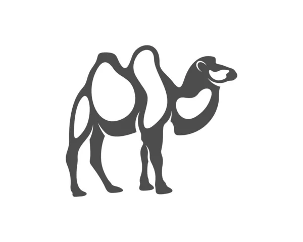 Wektor Logo Wielbłąda Grafika Zwierzęca Ilustracja Szablonu Wielbłąda — Wektor stockowy