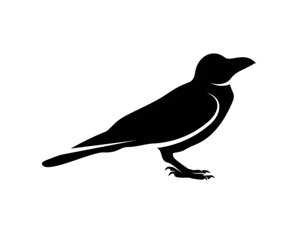 Modèle Vectoriel Logo Oiseau Corbeau Silhouette Noire Corbeau Sur Fond — Image vectorielle