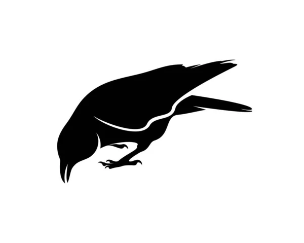 Modèle Vectoriel Logo Oiseau Corbeau Silhouette Noire Corbeau Sur Fond — Image vectorielle