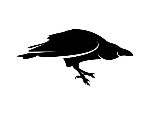 Modèle Vectoriel Logo Oiseau Corbeau Silhouette Noire Corbeau Sur Fond — Image vectorielle