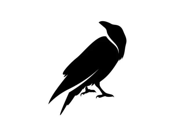 Rabenvogel Logo Vektorschablone Schwarze Silhouette Einer Krähe Auf Isoliertem Hintergrund — Stockvektor