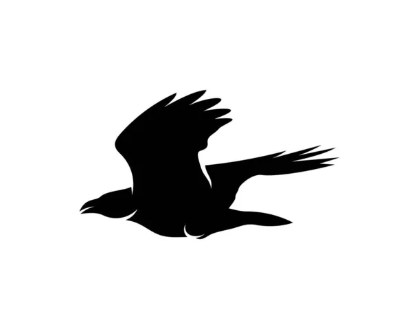 Raven Pássaro Logotipo Vetor Modelo Silhueta Preta Corvo Fundo Isolado —  Vetores de Stock