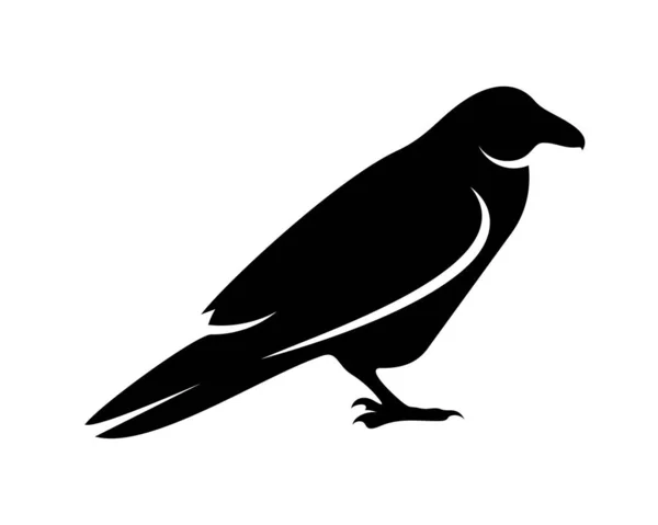 Raven Vogel Logo Vector Template Zwart Silhouet Van Een Kraai — Stockvector