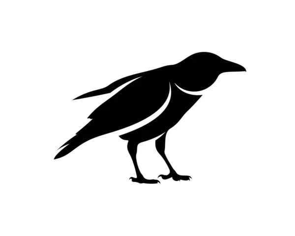 Rabenvogel Logo Vektorschablone Schwarze Silhouette Einer Krähe Auf Isoliertem Hintergrund — Stockvektor