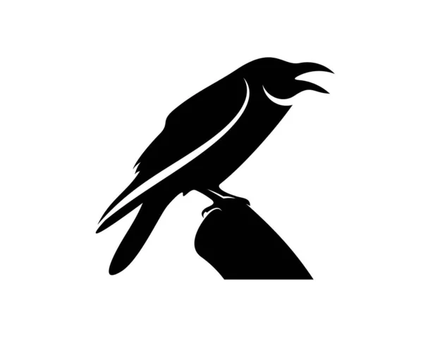 Raven Pássaro Logotipo Vetor Modelo Silhueta Preta Corvo Fundo Isolado — Vetor de Stock