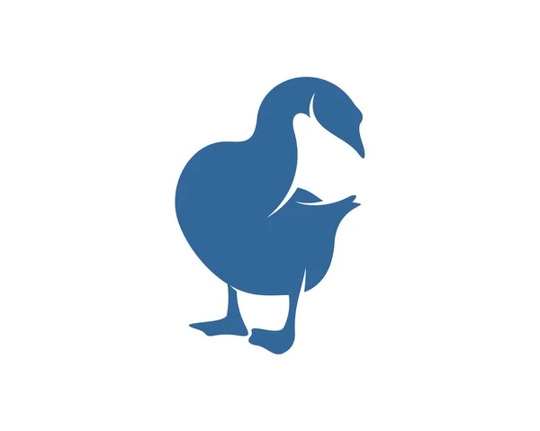 Modelo Projeto Vetor Logotipo Cisne Logotipo Cisne Silhueta Ilustração —  Vetores de Stock