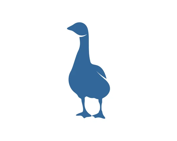 Modelo Projeto Vetor Logotipo Cisne Logotipo Cisne Silhueta Ilustração —  Vetores de Stock