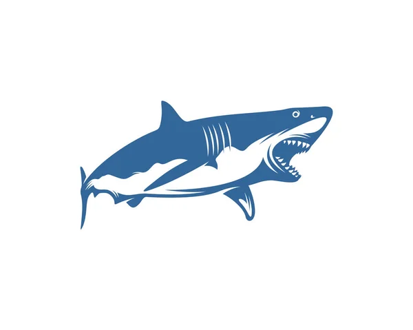 Shark Logo Vector Design Template Silhouette Shark Logo Illustration — Stock Vector