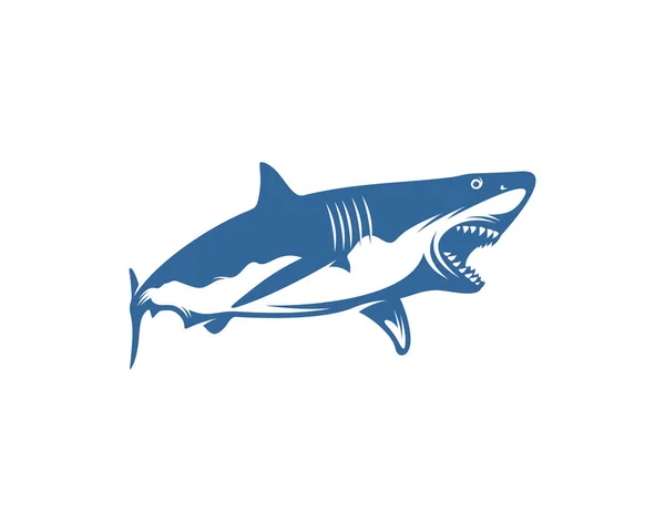 Shark Logo Vector Design Template Silhouette Shark Logo Illustration — 스톡 벡터