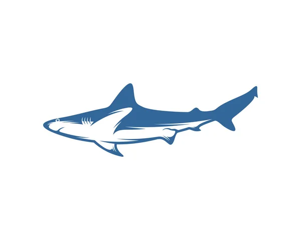 Шаблон Векторного Дизайну Логотипу Акули Логотип Silhouette Shark Ілюстрація — стоковий вектор