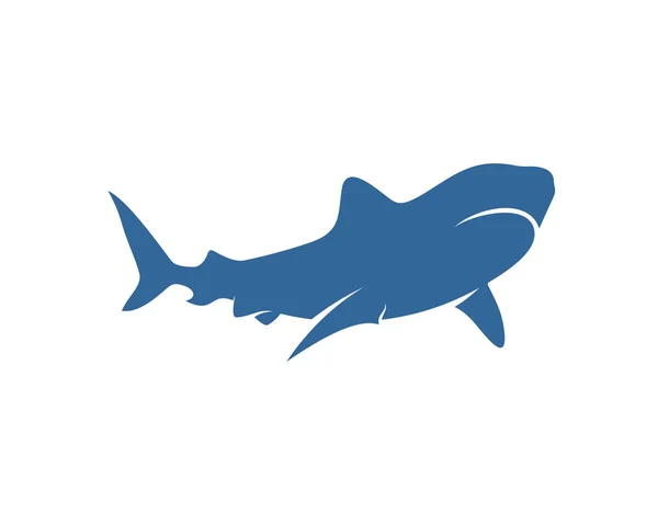 Modelo Design Vetor Logotipo Tubarão Logotipo Tubarão Silhueta Ilustração — Vetor de Stock