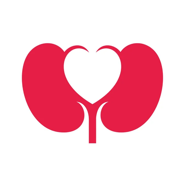 Kidney Love Logo Design Inspiration Template Vector — Stock Vector