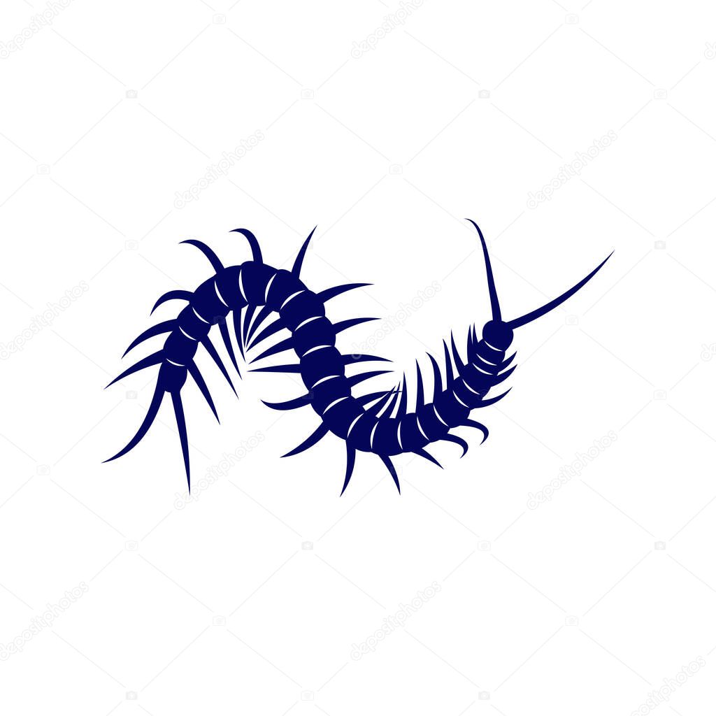 Centipede logo vector design template, Silhouette Centipede logo animal, Illustration