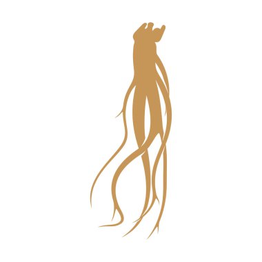 Ginseng logo tasarım vektör şablonu. Beyaz arkaplanda Ginseng kökü