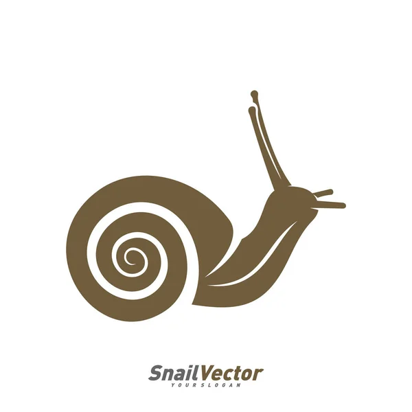 Modelo Vetor Design Logotipo Caracol Silhueta Desenho Caracol Ilustração —  Vetores de Stock