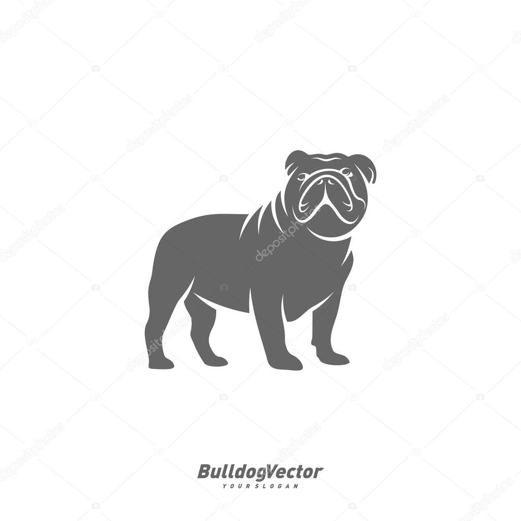 Bulldog logo design vector template. Silhouette of Bulldog design illustration