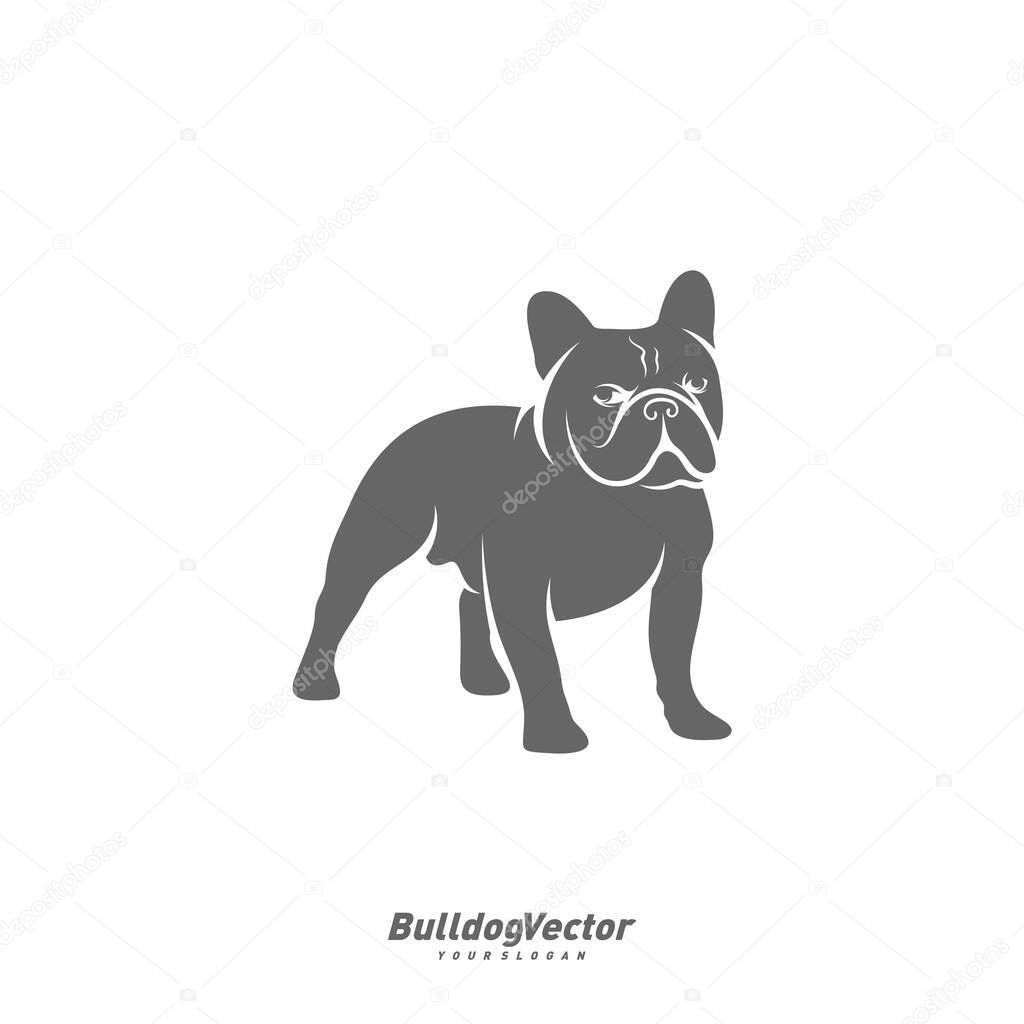 Bulldog logo design vector template. Silhouette of Bulldog design illustration