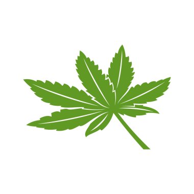 Kenevir yaprağı logosu tasarım vektör şablonu. Beyaz arkaplanda yaratıcı esrar