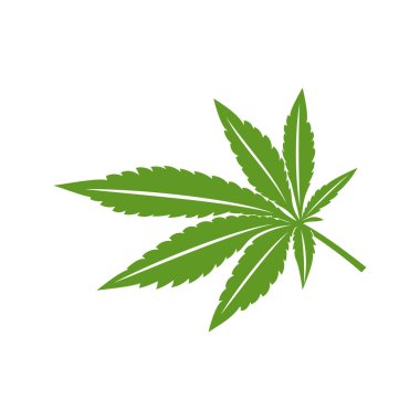Kenevir yaprağı logosu tasarım vektör şablonu. Beyaz arkaplanda yaratıcı esrar