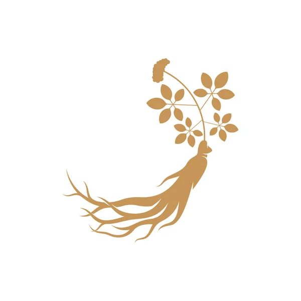 Modelo Vetor Design Logotipo Ginseng Ginseng Raiz Fundo Branco — Vetor de Stock