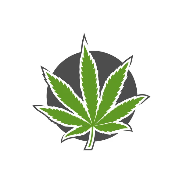 Modelo Vetor Design Logotipo Folha Cannabis Cannabis Criativo Fundo Branco — Vetor de Stock