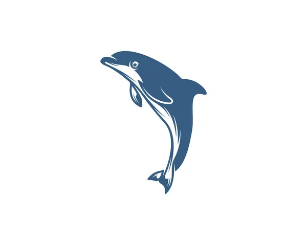 Dolphins Logo Design Vector Template Silhueta Dos Golfinhos Ilustração Design — Vetor de Stock