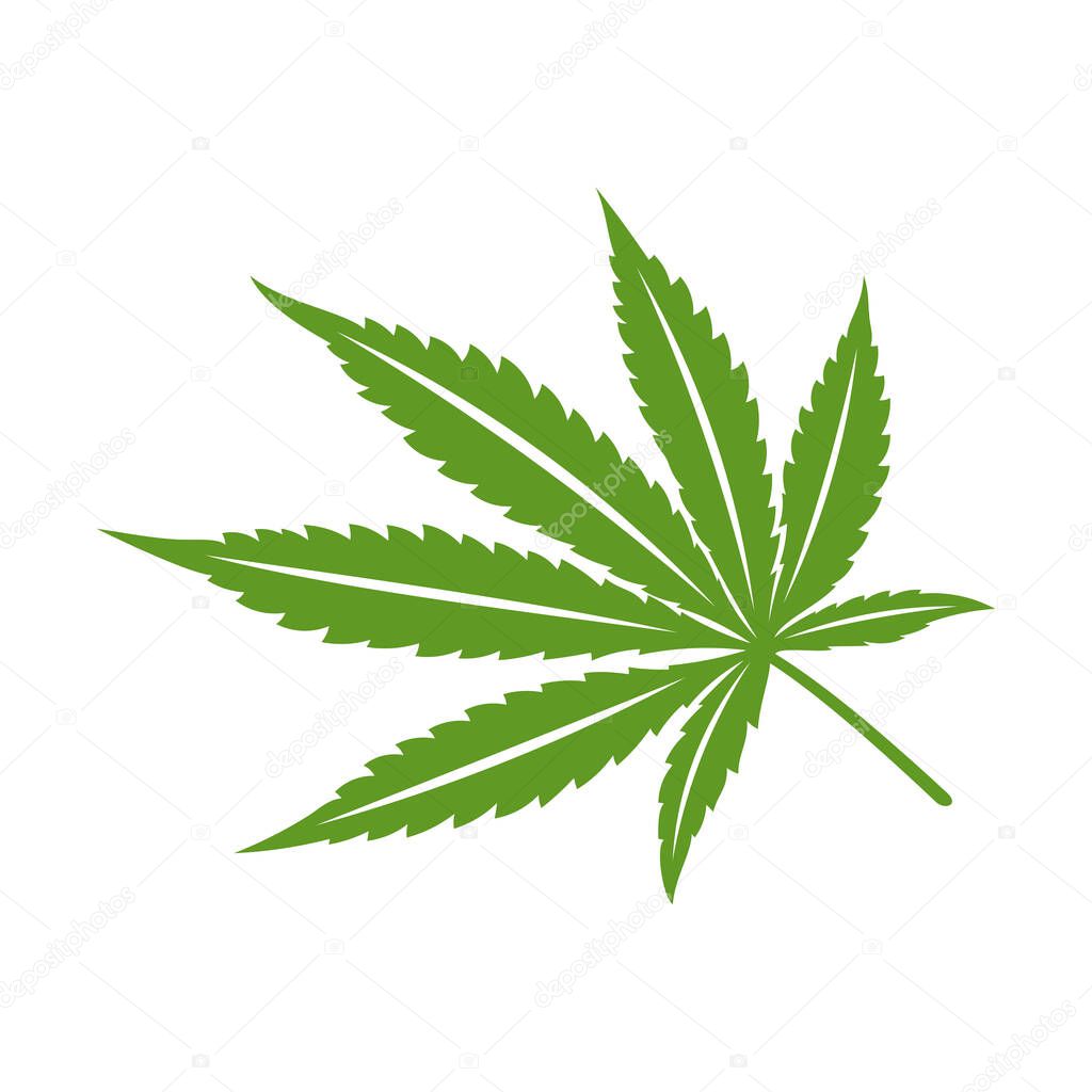 Cannabis leaf logo design vector template. Creative Cannabis on white background