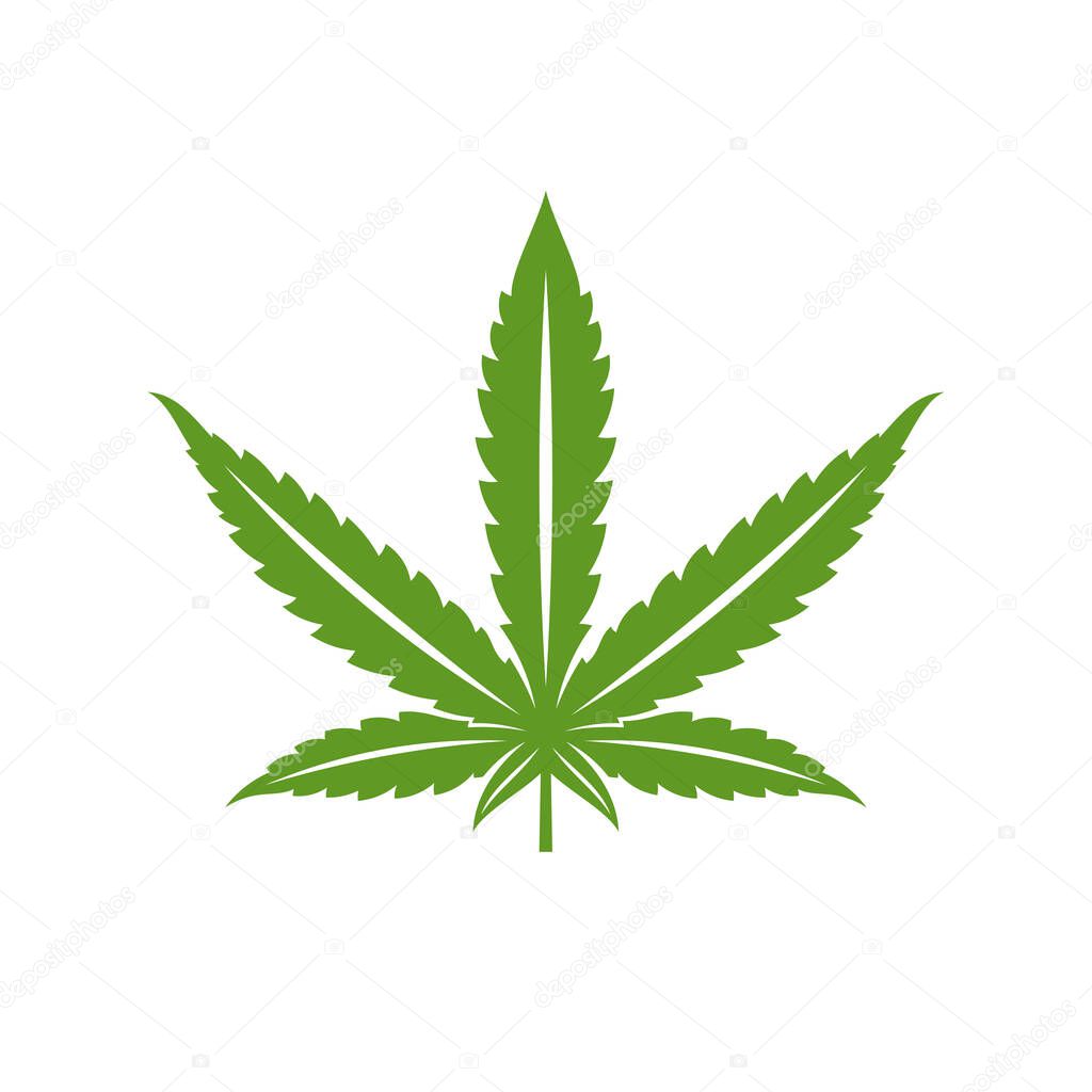 Cannabis leaf logo design vector template. Creative Cannabis on white background