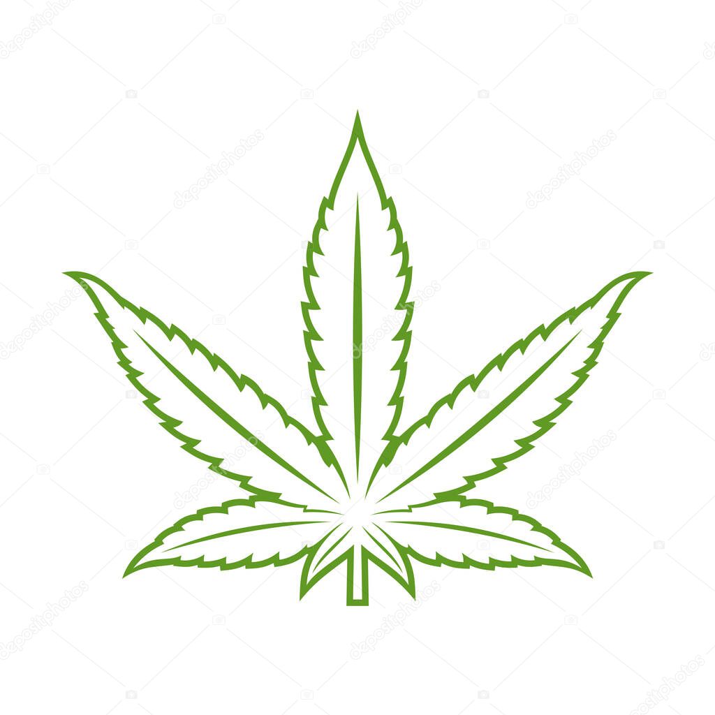 Cannabis leaf logo design vector template. Creative Cannabis on white background