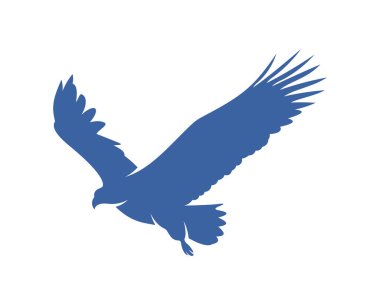 kartal logo tasarım vektör şablonu