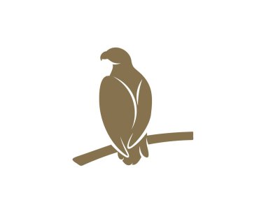 kartal logo tasarım vektör şablonu