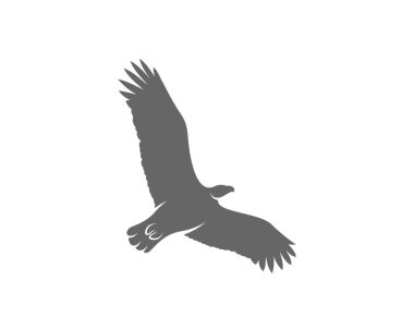 kartal logo tasarım vektör şablonu