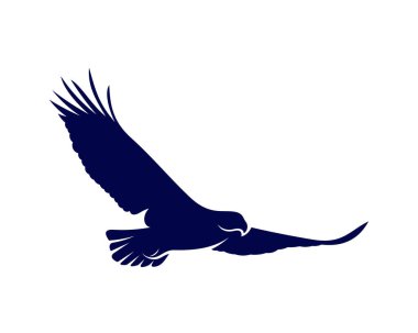 kartal logo tasarım vektör şablonu