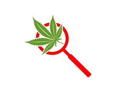 Cannabis Search logo design vector template. Creative Cannabis on white background