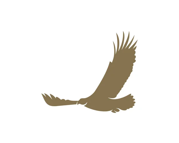 Modelo Vetor Design Logotipo Águia — Vetor de Stock