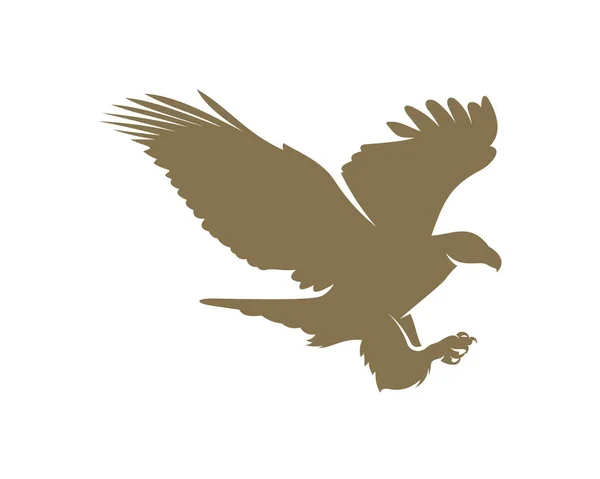 Modello Vettoriale Progettazione Logo Aquila — Vettoriale Stock