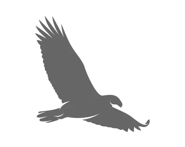 Adelaar Logo Ontwerp Vector Template — Stockvector